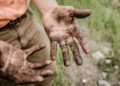 A man with his hands covered with mud