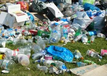 blue plastic bottle on green grass field
