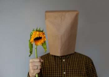 a person with a paper bag on their head holding a sunflower
